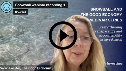 Snowball and The Good Economy Webinar Series: Part One